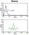 Membrane Metalloendopeptidase antibody, abx033331, Abbexa, Flow Cytometry image 