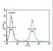 Very Low Density Lipoprotein Receptor antibody, LS-C160533, Lifespan Biosciences, Flow Cytometry image 