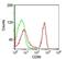 CD86 antibody, 34-003, ProSci, Flow Cytometry image 