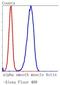 Actin Alpha 2, Smooth Muscle antibody, NBP2-67436, Novus Biologicals, Flow Cytometry image 