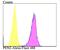 Presenilin Enhancer, Gamma-Secretase Subunit antibody, NBP2-75632, Novus Biologicals, Flow Cytometry image 