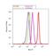 Furin, Paired Basic Amino Acid Cleaving Enzyme antibody, PA1-062, Invitrogen Antibodies, Flow Cytometry image 