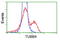 Tubulin Beta 4A Class IVa antibody, LS-C173087, Lifespan Biosciences, Flow Cytometry image 