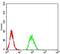 RNA Binding Fox-1 Homolog 3 antibody, NBP2-61841, Novus Biologicals, Flow Cytometry image 