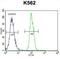 Secreted Frizzled Related Protein 4 antibody, abx026333, Abbexa, Flow Cytometry image 