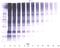 C-Type Lectin Domain Containing 11A antibody, XP-5268, ProSci, Enzyme Linked Immunosorbent Assay image 