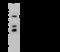 Fetuin B antibody, 106297-T40, Sino Biological, Western Blot image 