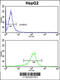 Gamma-Glutamyltransferase 5 antibody, 62-877, ProSci, Flow Cytometry image 