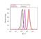 Serum/Glucocorticoid Regulated Kinase 1 antibody, 44-1260G, Invitrogen Antibodies, Flow Cytometry image 