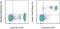 C-Type Lectin Domain Containing 7A antibody, 46-5859-82, Invitrogen Antibodies, Flow Cytometry image 