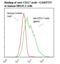 c-Kit antibody, LS-C134713, Lifespan Biosciences, Flow Cytometry image 