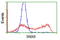 Sorting Nexin 8 antibody, TA502113, Origene, Flow Cytometry image 