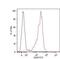 Solute Carrier Family 3 Member 2 antibody, MA1-19586, Invitrogen Antibodies, Flow Cytometry image 