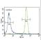 Colony Stimulating Factor 1 Receptor antibody, LS-C100250, Lifespan Biosciences, Flow Cytometry image 