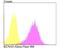 Potassium Voltage-Gated Channel Subfamily A Member 5 antibody, NBP2-76939, Novus Biologicals, Flow Cytometry image 