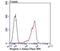 Spectrin Repeat Containing Nuclear Envelope Protein 1 antibody, NBP2-75679, Novus Biologicals, Flow Cytometry image 