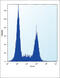 Toll Like Receptor 9 antibody, abx027559, Abbexa, Flow Cytometry image 