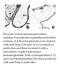 Tumor Associated Calcium Signal Transducer 2 antibody, MBS415353, MyBioSource, Immunohistochemistry paraffin image 