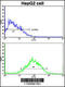 WW Domain Binding Protein 2 antibody, 63-203, ProSci, Flow Cytometry image 