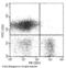 Complement receptor type 2 antibody, 10811-R257-P, Sino Biological, Flow Cytometry image 
