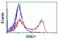 Rho Family GTPase 1 antibody, GTX83709, GeneTex, Flow Cytometry image 