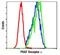 Platelet Derived Growth Factor Receptor Alpha antibody, PA5-17623, Invitrogen Antibodies, Flow Cytometry image 