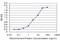 SMAD Family Member 5 antibody, H00004090-M08, Novus Biologicals, Enzyme Linked Immunosorbent Assay image 