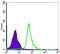 Nuclear Factor Kappa B Subunit 1 antibody, MA5-15860, Invitrogen Antibodies, Flow Cytometry image 