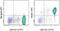 C-Type Lectin Domain Containing 7A antibody, 17-5859-80, Invitrogen Antibodies, Flow Cytometry image 