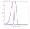 C-Reactive Protein antibody, 710269, Invitrogen Antibodies, Flow Cytometry image 