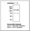 Protein Tyrosine Kinase 2 antibody, LS-B7154, Lifespan Biosciences, Western Blot image 