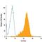 Survivin antibody, IC6472P, R&D Systems, Flow Cytometry image 