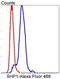 Protein Tyrosine Phosphatase Non-Receptor Type 6 antibody, NBP2-67321, Novus Biologicals, Flow Cytometry image 