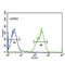 Mitogen-Activated Protein Kinase Kinase Kinase Kinase 3 antibody, abx034546, Abbexa, Flow Cytometry image 