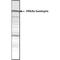 Huntingtin antibody, MA1-82100, Invitrogen Antibodies, Western Blot image 