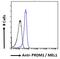 G Protein-Coupled Receptor 17 antibody, 42-778, ProSci, Immunohistochemistry frozen image 