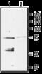 Potassium Voltage-Gated Channel Subfamily J Member 5 antibody, GTX54780, GeneTex, Western Blot image 