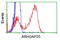 Rho GTPase Activating Protein 25 antibody, LS-C115658, Lifespan Biosciences, Flow Cytometry image 