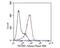 Nuclear Distribution C, Dynein Complex Regulator antibody, NBP2-80471, Novus Biologicals, Flow Cytometry image 