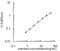 C-Terminal Src Kinase antibody, OKEH02196, Aviva Systems Biology, Enzyme Linked Immunosorbent Assay image 