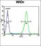 Cytochrome P450 Family 4 Subfamily F Member 2 antibody, orb214800, Biorbyt, Flow Cytometry image 