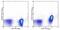 TNF Receptor Superfamily Member 13C antibody, 11-5943-82, Invitrogen Antibodies, Flow Cytometry image 