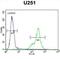 Secernin 1 antibody, abx032463, Abbexa, Flow Cytometry image 