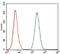 C-C Motif Chemokine Ligand 2 antibody, NBP2-22115, Novus Biologicals, Flow Cytometry image 