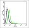 Gamma-Aminobutyric Acid Type A Receptor Epsilon Subunit antibody, orb157001, Biorbyt, Flow Cytometry image 