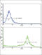 Major Histocompatibility Complex, Class II, DR Beta 1 antibody, abx033042, Abbexa, Flow Cytometry image 