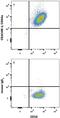 Carcinoembryonic Antigen Related Cell Adhesion Molecule 1 antibody, FAB2244P, R&D Systems, Flow Cytometry image 