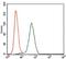 Kelch Like ECH Associated Protein 1 antibody, NBP2-37431, Novus Biologicals, Flow Cytometry image 