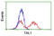 TAL BHLH Transcription Factor 1, Erythroid Differentiation Factor antibody, LS-C173505, Lifespan Biosciences, Flow Cytometry image 