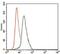 Keratin 13 antibody, MA5-17109, Invitrogen Antibodies, Flow Cytometry image 